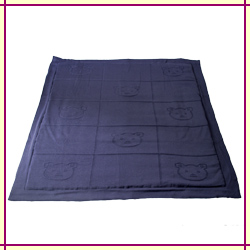 large product photo